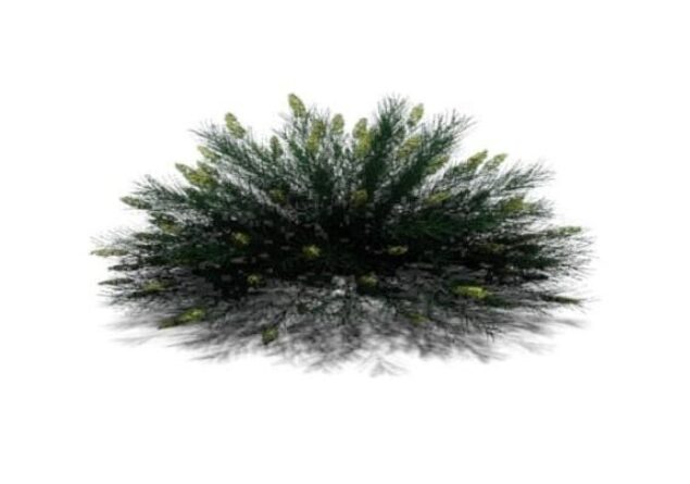 bush shrub plan rpc revit family