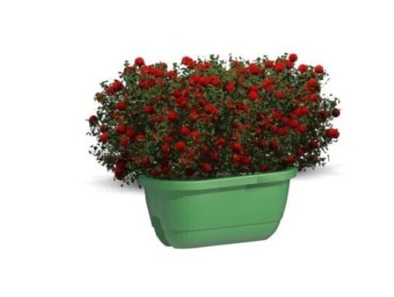 poted plants rpc revit family