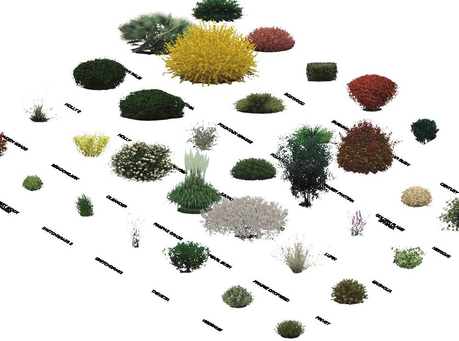 Free Download Plants Revit Families BIM Objects BIM Library