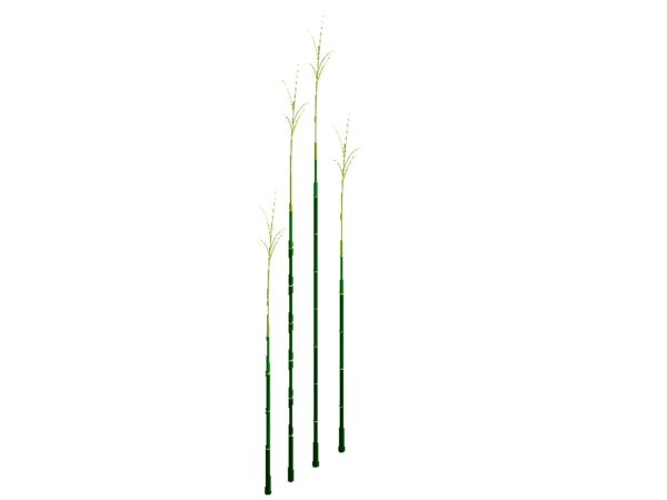 bamboo revit family