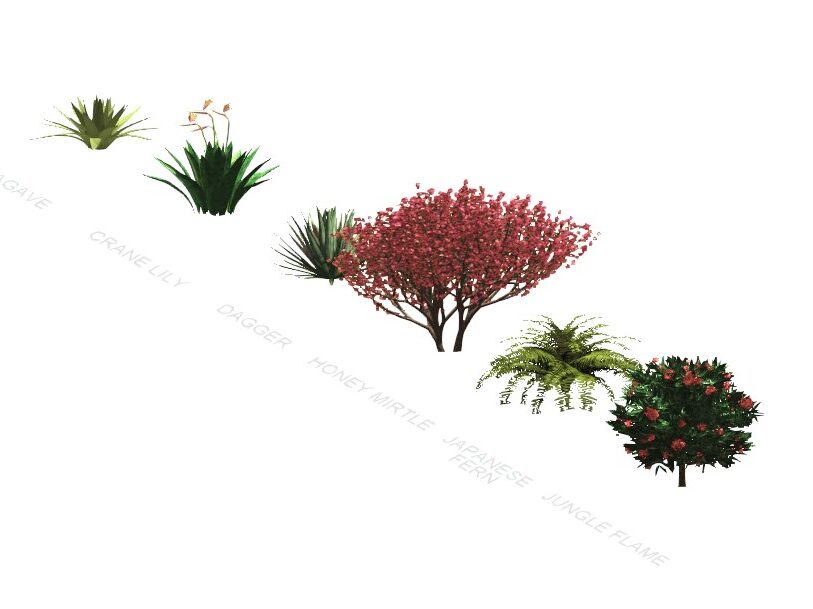 Revit tropical plants Revit family BIM Library