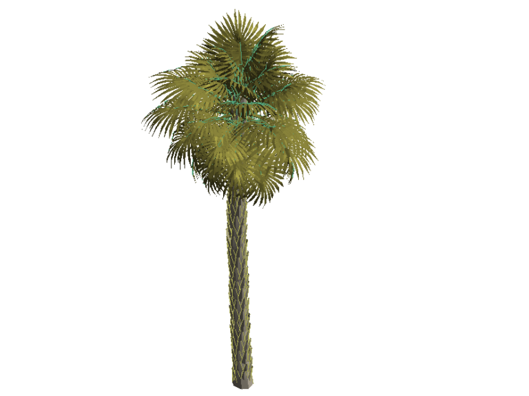 Trees Palm Family Revit