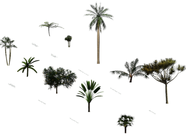 tropical revit trees collection