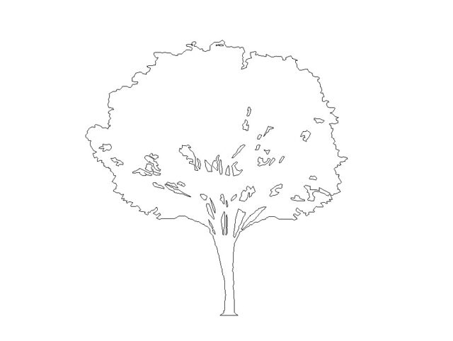 2d tree scalable revit family elevation