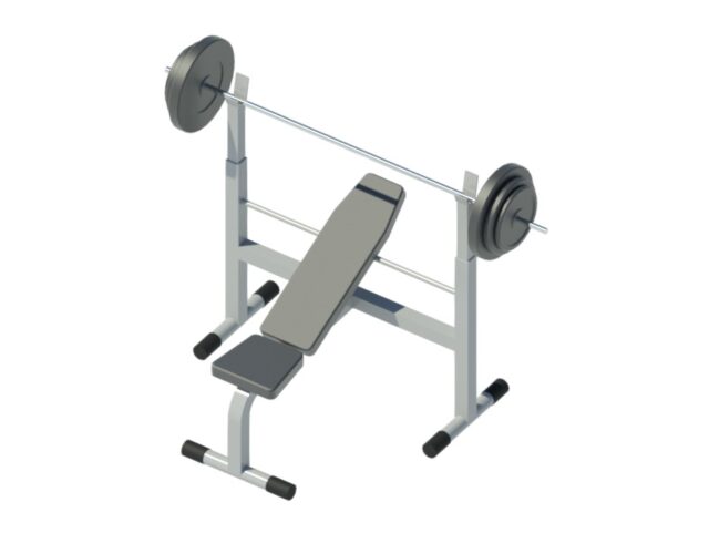 bench press with squat rack classic revit family 3d view