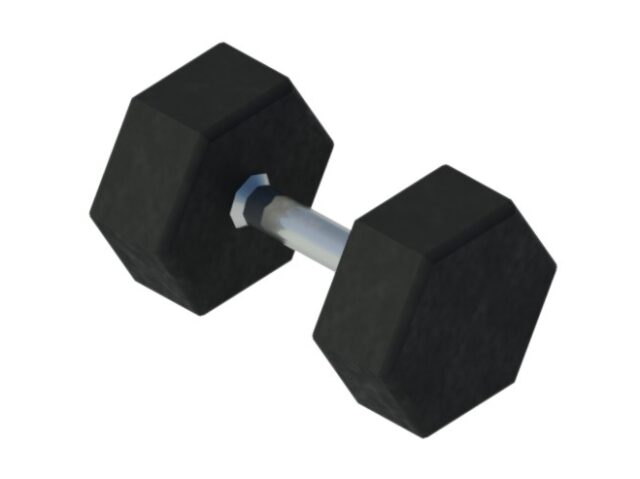 dumbbell gym hexagon weight revit family 3d view