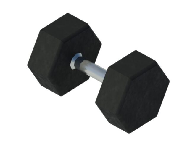 dumbbell gym hexagon weight revit family 3d view