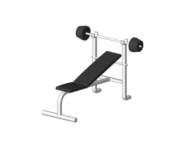 Gym Press Bench and Weights