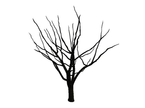 Dry Tree