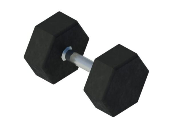 Gym Dumbbell Hexagon Plate
