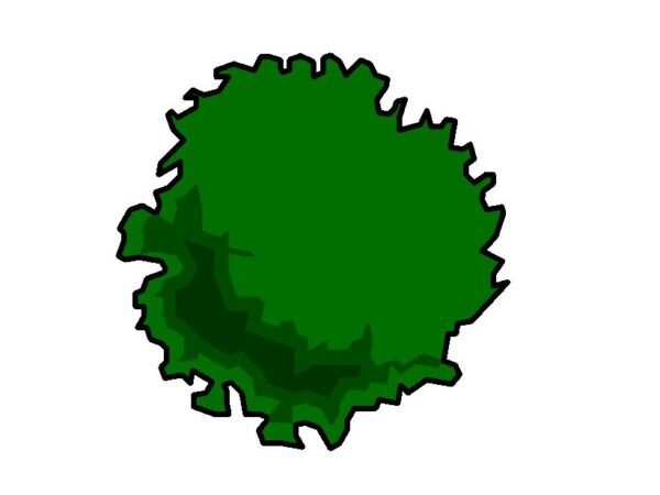 2D Tree Color Parametric 02