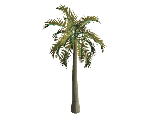 Palm Tree 3