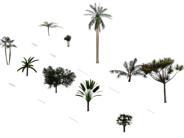 Revit Tropical Trees