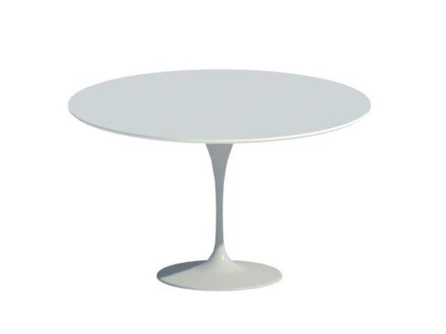 Round Tulip Table Modern