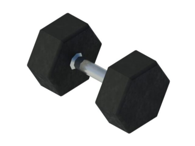 Gym Dumbbell Hexagon Plate