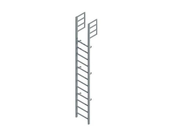 Roof Access Vertical Ladder