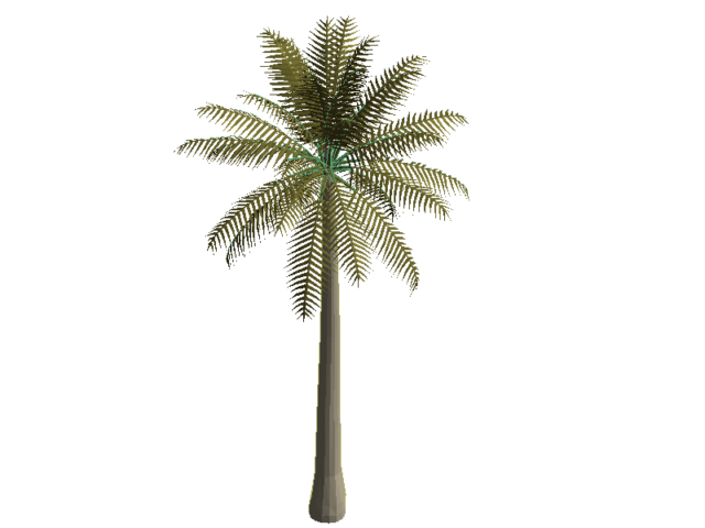 Palm Tree 1